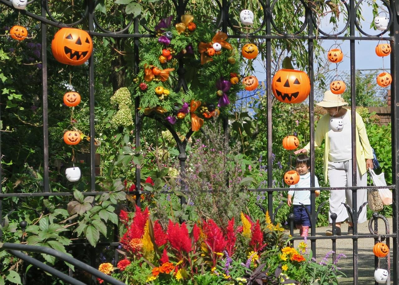 🌸 미츠케 잉글리시 가든 이미지 11